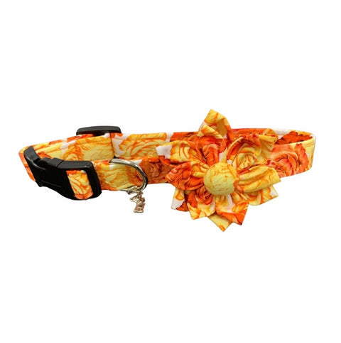 Orange floral collar accessory