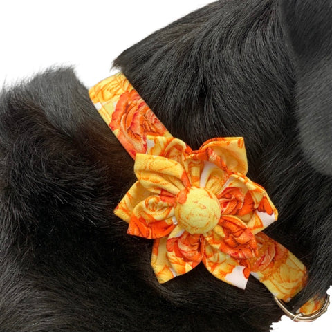 Orange floral collar accessory