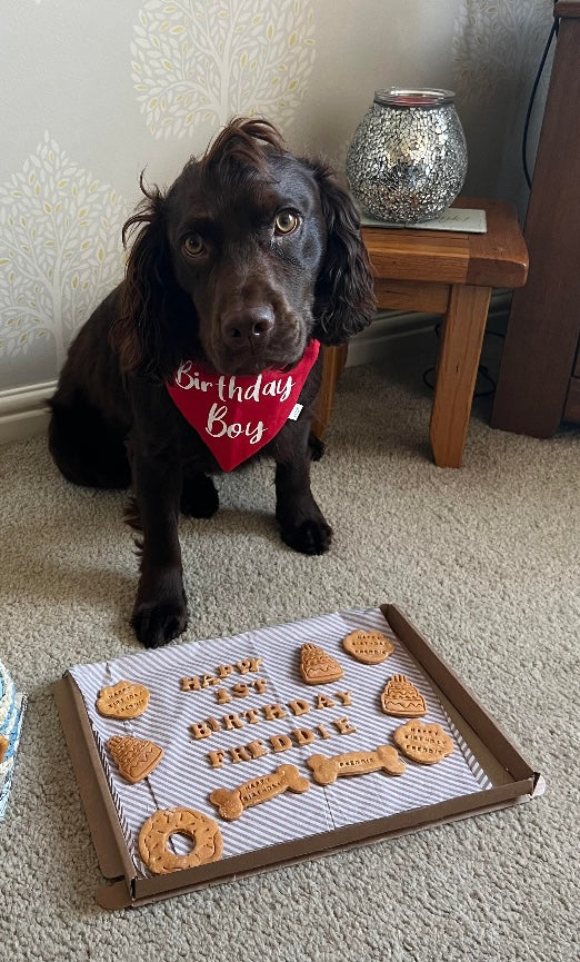 Dog pastries near me sale